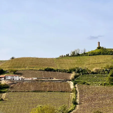 Casa Della Torre - With Panoramic View كانيلي